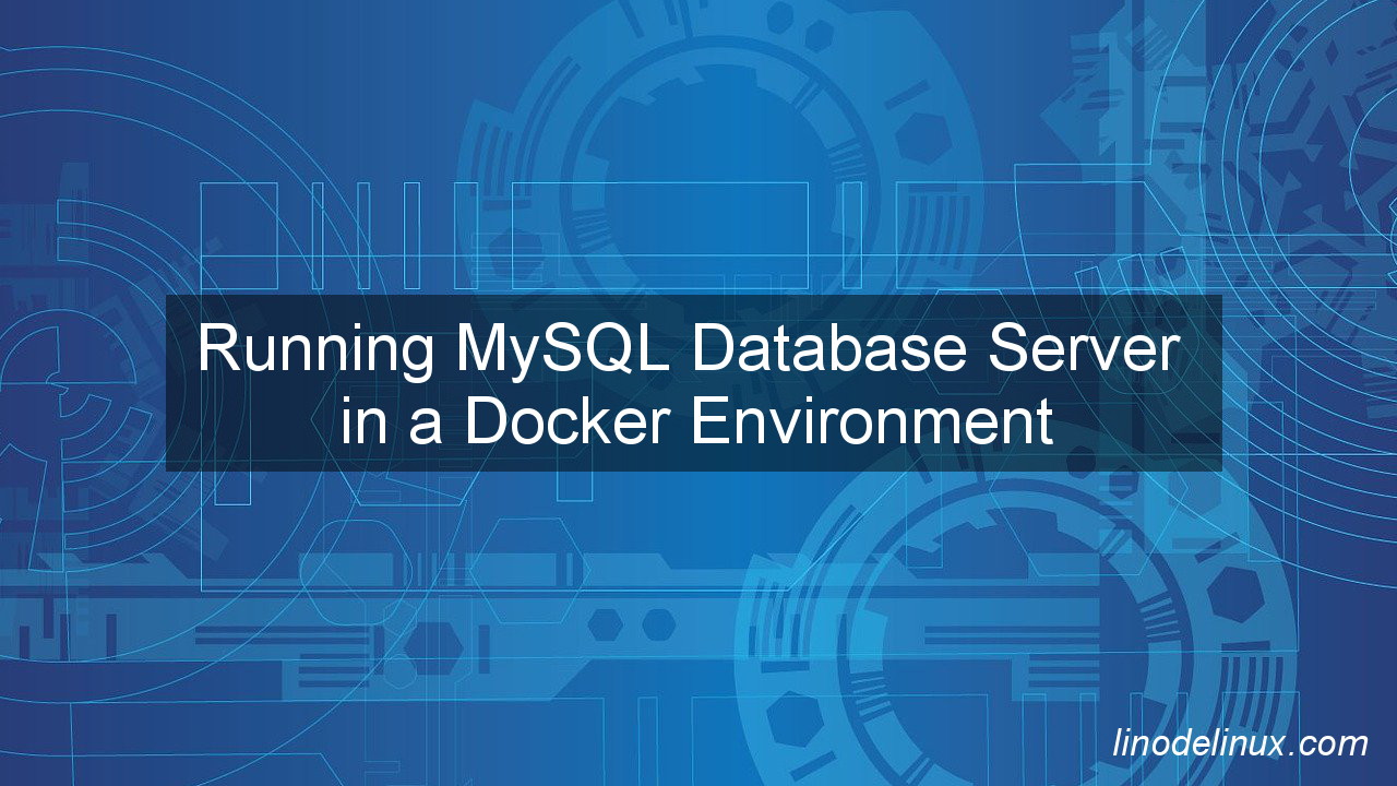 MySQL Database Server in a Docker